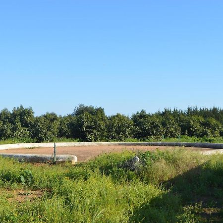 Quinta Das Figueiras Vila Nova De Cacela Kültér fotó