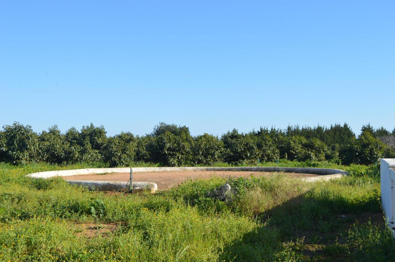 Quinta Das Figueiras Vila Nova De Cacela Kültér fotó